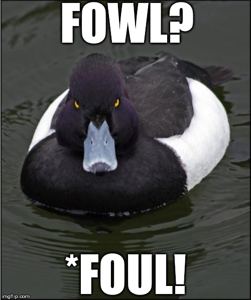 FOWL? *FOUL! | made w/ Imgflip meme maker