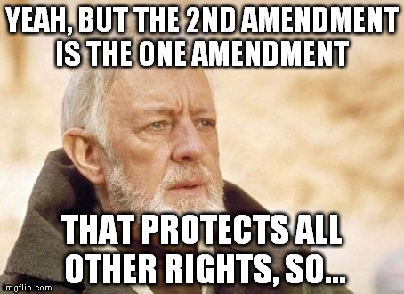 YEAH, BUT THE 2ND AMENDMENT IS THE ONE AMENDMENT THAT PROTECTS ALL OTHER RIGHTS, SO... | image tagged in obi-wan-kenobi i've not heard that in a long time | made w/ Imgflip meme maker