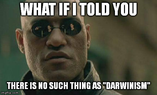 Matrix Morpheus Meme | WHAT IF I TOLD YOU THERE IS NO SUCH THING AS "DARWINISM" | image tagged in memes,matrix morpheus | made w/ Imgflip meme maker