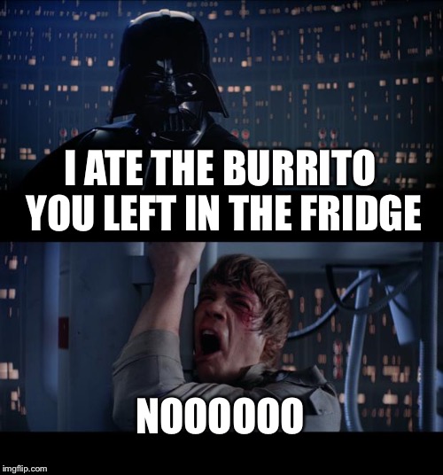 Star Wars burrito nooo | I ATE THE BURRITO YOU LEFT IN THE FRIDGE; NOOOOOO | image tagged in memes,star wars no | made w/ Imgflip meme maker