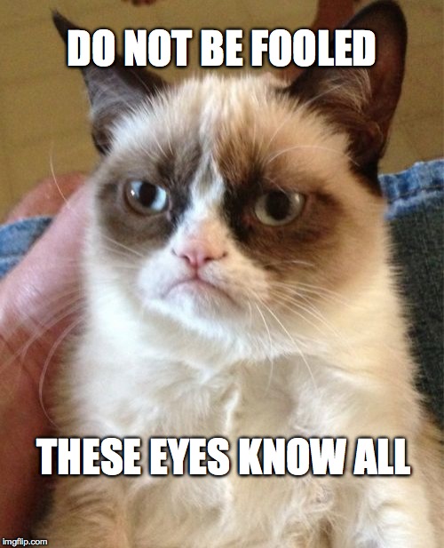 Grumpy Cat | DO NOT BE FOOLED; THESE EYES KNOW ALL | image tagged in memes,grumpy cat | made w/ Imgflip meme maker