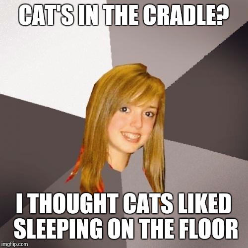 Musically Oblivious 8th Grader Meme | CAT'S IN THE CRADLE? I THOUGHT CATS LIKED SLEEPING ON THE FLOOR | image tagged in memes,musically oblivious 8th grader | made w/ Imgflip meme maker