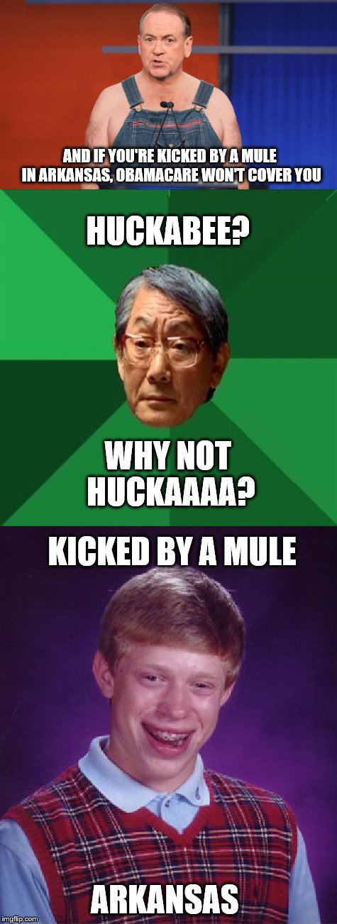 Experimental meme with two meme "comments" included. Whaddya think? | AND IF YOU'RE KICKED BY A MULE IN ARKANSAS, OBAMACARE WON'T COVER YOU; HUCKABEE? WHY NOT HUCKAAAA? KICKED BY A MULE; ARKANSAS | image tagged in memes,comments,original meme | made w/ Imgflip meme maker