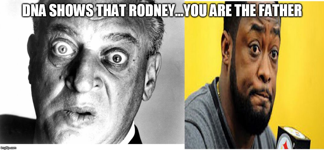 steelers coach slammed | DNA SHOWS THAT RODNEY...YOU ARE THE FATHER | image tagged in mike tomlin | made w/ Imgflip meme maker