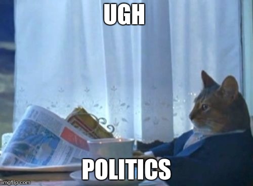 I Should Buy A Boat Cat | UGH; POLITICS | image tagged in memes,i should buy a boat cat | made w/ Imgflip meme maker