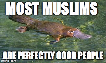 Platypus by Strongly Opinionated Platypus | MOST MUSLIMS ARE PERFECTLY GOOD PEOPLE | image tagged in platypus by strongly opinionated platypus | made w/ Imgflip meme maker