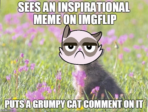 SEES AN INSPIRATIONAL MEME ON IMGFLIP PUTS A GRUMPY CAT COMMENT ON IT | made w/ Imgflip meme maker