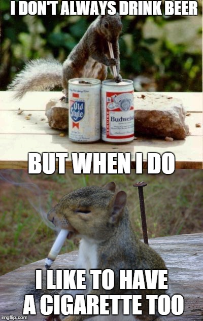 The Most Interesting Squirrel In The World  | I DON'T ALWAYS DRINK BEER; BUT WHEN I DO; I LIKE TO HAVE A CIGARETTE TOO | image tagged in squirrels,beer,memes,cigarettes,lol | made w/ Imgflip meme maker