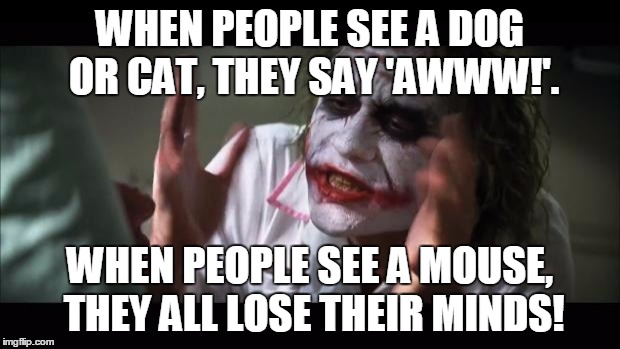 How Does a Mouse Terrify You More Than a Cat or Dog? | WHEN PEOPLE SEE A DOG OR CAT, THEY SAY 'AWWW!'. WHEN PEOPLE SEE A MOUSE, THEY ALL LOSE THEIR MINDS! | image tagged in memes,and everybody loses their minds | made w/ Imgflip meme maker