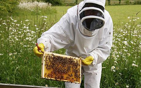 bee keeper Blank Meme Template