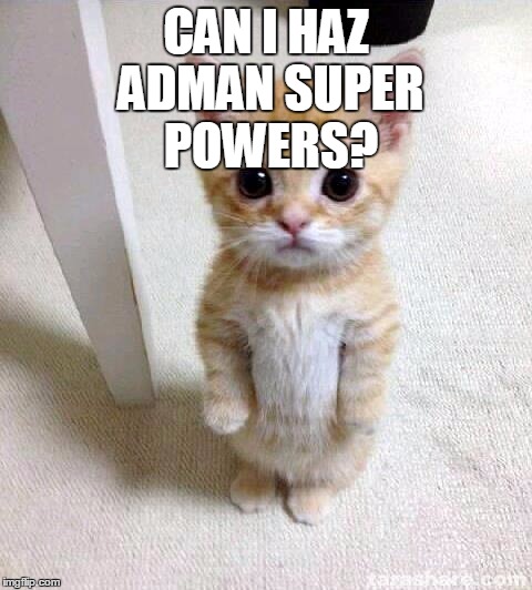 Cute Cat Meme | CAN I HAZ ADMAN SUPER POWERS? | image tagged in memes,cute cat | made w/ Imgflip meme maker