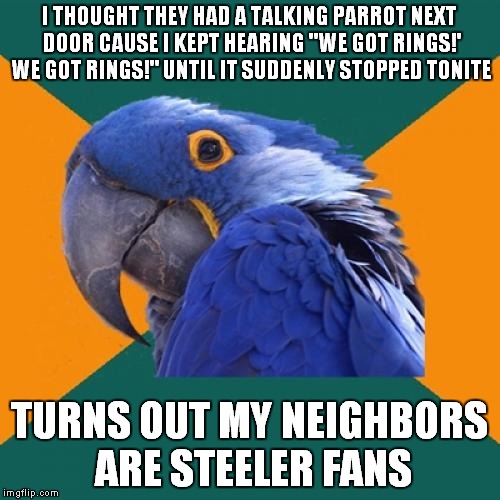 Paranoid Parrot | I THOUGHT THEY HAD A TALKING PARROT NEXT DOOR CAUSE I KEPT HEARING "WE GOT RINGS!' WE GOT RINGS!" UNTIL IT SUDDENLY STOPPED TONITE; TURNS OUT MY NEIGHBORS ARE STEELER FANS | image tagged in memes,paranoid parrot | made w/ Imgflip meme maker