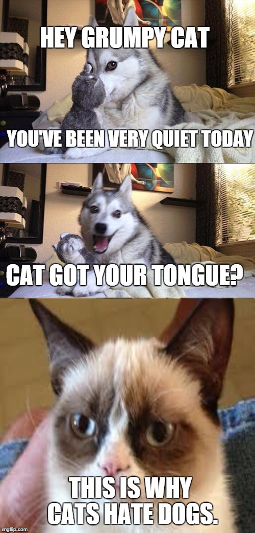 The Real Reason Why Cats don't like Dogs | HEY GRUMPY CAT; YOU'VE BEEN VERY QUIET TODAY; CAT GOT YOUR TONGUE? THIS IS WHY CATS HATE DOGS. | image tagged in memes,bad pun dog | made w/ Imgflip meme maker
