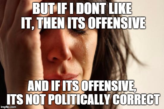 First World Problems Meme | BUT IF I DONT LIKE IT, THEN ITS OFFENSIVE AND IF ITS OFFENSIVE, ITS NOT POLITICALLY CORRECT | image tagged in memes,first world problems | made w/ Imgflip meme maker