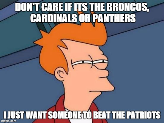 Futurama Fry | DON'T CARE IF ITS THE BRONCOS, CARDINALS OR PANTHERS; I JUST WANT SOMEONE TO BEAT THE PATRIOTS | image tagged in memes,futurama fry | made w/ Imgflip meme maker