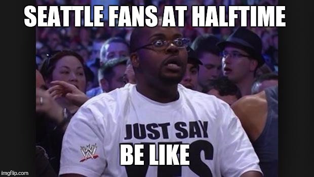 WWE FAN | SEATTLE FANS AT HALFTIME; BE LIKE | image tagged in wwe fan | made w/ Imgflip meme maker