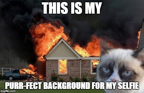 Burn Kitty Meme | THIS IS MY; PURR-FECT BACKGROUND FOR MY SELFIE | image tagged in memes,burn kitty | made w/ Imgflip meme maker