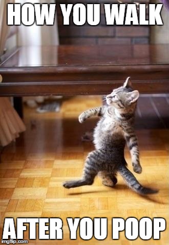Cool Cat Stroll | HOW YOU WALK; AFTER YOU POOP | image tagged in memes,cool cat stroll | made w/ Imgflip meme maker