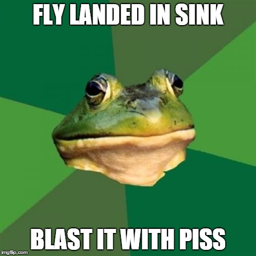 Foul Bachelor Frog | FLY LANDED IN SINK; BLAST IT WITH PISS | image tagged in memes,foul bachelor frog | made w/ Imgflip meme maker