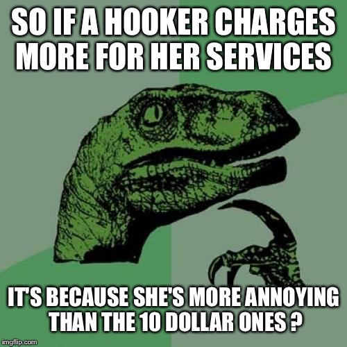 Philosoraptor Meme | SO IF A HOOKER CHARGES MORE FOR HER SERVICES IT'S BECAUSE SHE'S MORE ANNOYING THAN THE 10 DOLLAR ONES ? | image tagged in memes,philosoraptor | made w/ Imgflip meme maker
