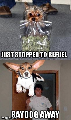 JUST STOPPED TO REFUEL RAYDOG AWAY | made w/ Imgflip meme maker