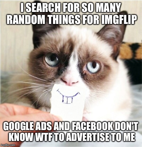 I SEARCH FOR SO MANY RANDOM THINGS FOR IMGFLIP; GOOGLE ADS AND FACEBOOK DON'T KNOW WTF TO ADVERTISE TO ME | image tagged in memes | made w/ Imgflip meme maker