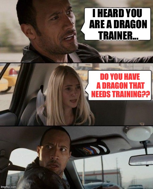 The Rock Driving | I HEARD YOU ARE A DRAGON TRAINER... DO YOU HAVE A DRAGON THAT NEEDS TRAINING?? | image tagged in memes,the rock driving | made w/ Imgflip meme maker