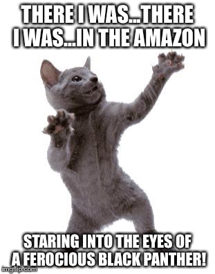 Happy Dance Cat | THERE I WAS...THERE I WAS...IN THE AMAZON; STARING INTO THE EYES OF A FEROCIOUS BLACK PANTHER! | image tagged in happy dance cat | made w/ Imgflip meme maker