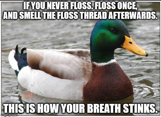 Actual Advice Mallard | IF YOU NEVER FLOSS. FLOSS ONCE, AND SMELL THE FLOSS THREAD AFTERWARDS. THIS IS HOW YOUR BREATH STINKS. | image tagged in memes,actual advice mallard,AdviceAnimals | made w/ Imgflip meme maker