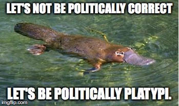 Platypus by Strongly Opinionated Platypus | LET'S NOT BE POLITICALLY CORRECT LET'S BE POLITICALLY PLATYPI. | image tagged in platypus by strongly opinionated platypus | made w/ Imgflip meme maker