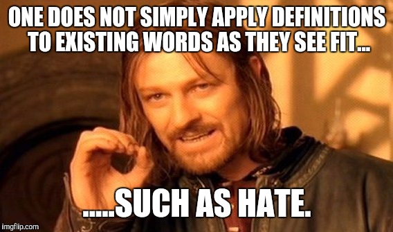 One Does Not Simply Meme | ONE DOES NOT SIMPLY APPLY DEFINITIONS TO EXISTING WORDS AS THEY SEE FIT... .....SUCH AS HATE. | image tagged in memes,one does not simply | made w/ Imgflip meme maker