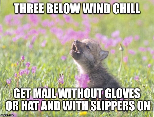 Baby Insanity Wolf Meme | THREE BELOW WIND CHILL; GET MAIL WITHOUT GLOVES OR HAT AND WITH SLIPPERS ON | image tagged in memes,baby insanity wolf,AdviceAnimals | made w/ Imgflip meme maker