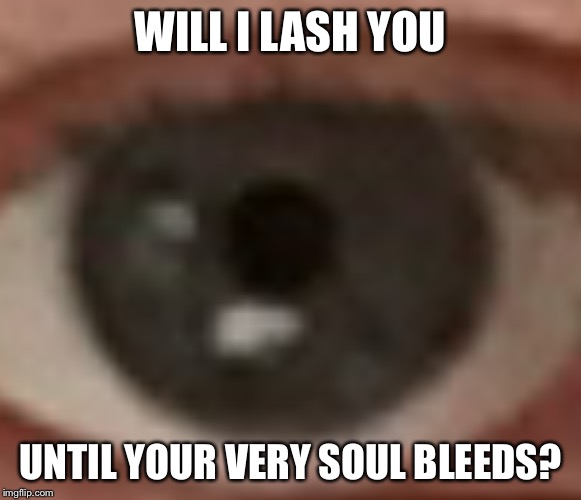 Eye of perception | WILL I LASH YOU; UNTIL YOUR VERY SOUL BLEEDS? | image tagged in eyeball test | made w/ Imgflip meme maker