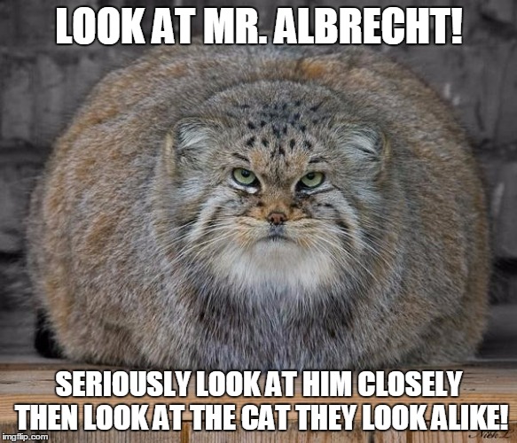 Fat Cats Exercise | LOOK AT MR. ALBRECHT! SERIOUSLY LOOK AT HIM CLOSELY THEN LOOK AT THE CAT THEY LOOK ALIKE! | image tagged in fat cats exercise | made w/ Imgflip meme maker