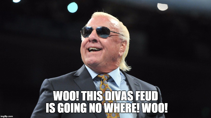 WOO! THIS DIVAS FEUD IS GOING NO WHERE! WOO! | made w/ Imgflip meme maker
