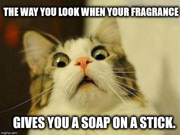 Scared Cat Meme | THE WAY YOU LOOK WHEN YOUR FRAGRANCE; GIVES YOU A SOAP ON A STICK. | image tagged in memes,scared cat | made w/ Imgflip meme maker