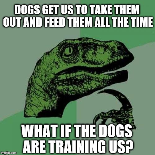 Philosoraptor Meme | DOGS GET US TO TAKE THEM OUT AND FEED THEM ALL THE TIME; WHAT IF THE DOGS ARE TRAINING US? | image tagged in memes,philosoraptor | made w/ Imgflip meme maker