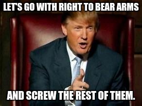 Donald Trump | LET'S GO WITH RIGHT TO BEAR ARMS; AND SCREW THE REST OF THEM. | image tagged in donald trump | made w/ Imgflip meme maker