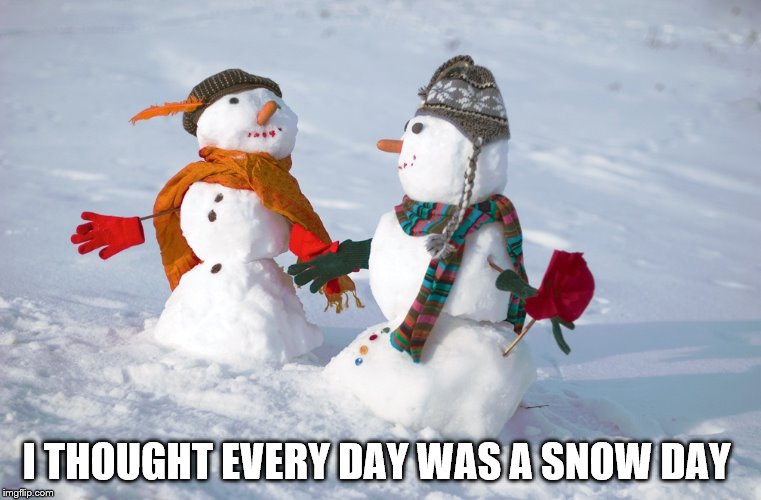 snowmen | I THOUGHT EVERY DAY WAS A SNOW DAY | image tagged in snowmen | made w/ Imgflip meme maker