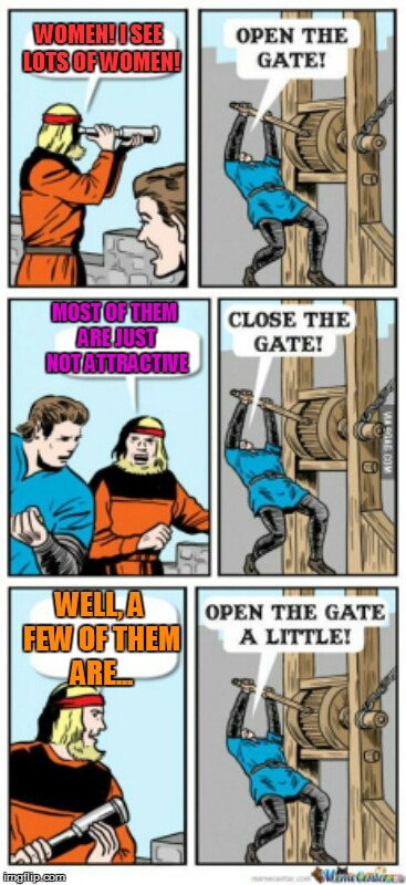 Open the gate a little | WOMEN! I SEE LOTS OF WOMEN! MOST OF THEM ARE JUST NOT ATTRACTIVE; WELL, A FEW OF THEM ARE... | image tagged in open the gate a little | made w/ Imgflip meme maker