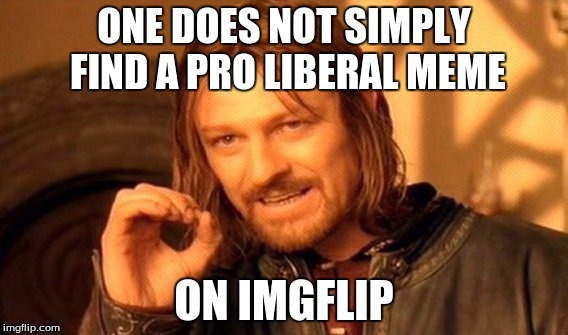 One Does Not Simply | ONE DOES NOT SIMPLY FIND A PRO LIBERAL MEME; ON IMGFLIP | image tagged in memes,one does not simply | made w/ Imgflip meme maker