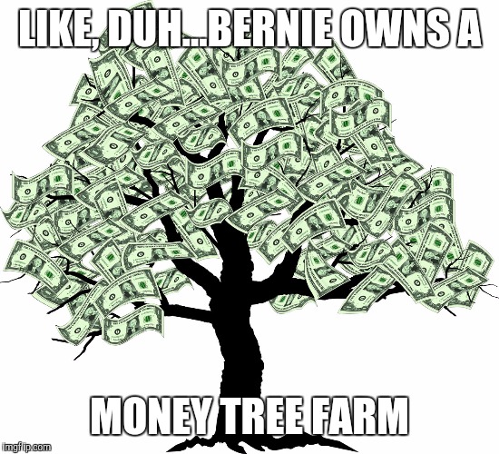 LIKE, DUH...BERNIE OWNS A MONEY TREE FARM | made w/ Imgflip meme maker