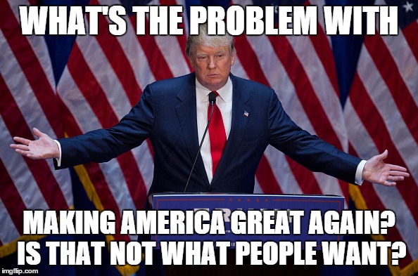 What's the problem? | WHAT'S THE PROBLEM WITH; MAKING AMERICA GREAT AGAIN? IS THAT NOT WHAT PEOPLE WANT? | image tagged in donald trump | made w/ Imgflip meme maker