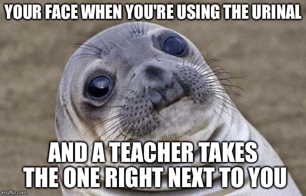 Awkward Moment Sealion | YOUR FACE WHEN YOU'RE USING THE URINAL; AND A TEACHER TAKES THE ONE RIGHT NEXT TO YOU | image tagged in memes,awkward moment sealion | made w/ Imgflip meme maker