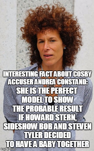 SHE IS THE PERFECT MODEL TO SHOW THE PROBABLE RESULT IF HOWARD STERN, SIDESHOW BOB AND STEVEN TYLER DECIDED TO HAVE A BABY TOGETHER; INTERESTING FACT ABOUT COSBY ACCUSER ANDREA CONSTAND: | image tagged in andrea constand | made w/ Imgflip meme maker