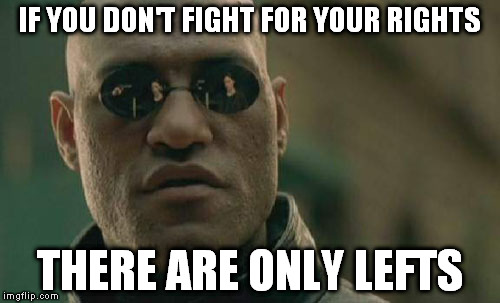 Yes people, I just did a serious pun, a rare item. | IF YOU DON'T FIGHT FOR YOUR RIGHTS; THERE ARE ONLY LEFTS | image tagged in memes,matrix morpheus | made w/ Imgflip meme maker