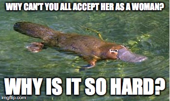 Platypus by Strongly Opinionated Platypus | WHY CAN'T YOU ALL ACCEPT HER AS A WOMAN? WHY IS IT SO HARD? | image tagged in platypus by strongly opinionated platypus | made w/ Imgflip meme maker