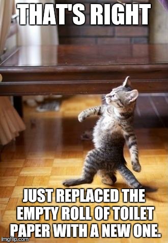 Cool Cat Stroll | THAT'S RIGHT; JUST REPLACED THE EMPTY ROLL OF TOILET PAPER WITH A NEW ONE. | image tagged in memes,cool cat stroll | made w/ Imgflip meme maker