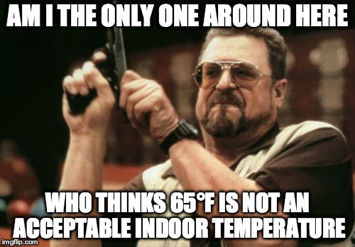 Am I The Only One Around Here | AM I THE ONLY ONE AROUND HERE; WHO THINKS 65°F IS NOT AN ACCEPTABLE INDOOR TEMPERATURE | image tagged in memes,am i the only one around here,AdviceAnimals | made w/ Imgflip meme maker