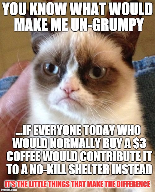 Grumpy Cat | YOU KNOW WHAT WOULD MAKE ME UN-GRUMPY; ...IF EVERYONE TODAY WHO WOULD NORMALLY BUY A $3 COFFEE WOULD CONTRIBUTE IT TO A NO-KILL SHELTER INSTEAD; IT'S THE LITTLE THINGS THAT MAKE THE DIFFERENCE | image tagged in memes,grumpy cat | made w/ Imgflip meme maker